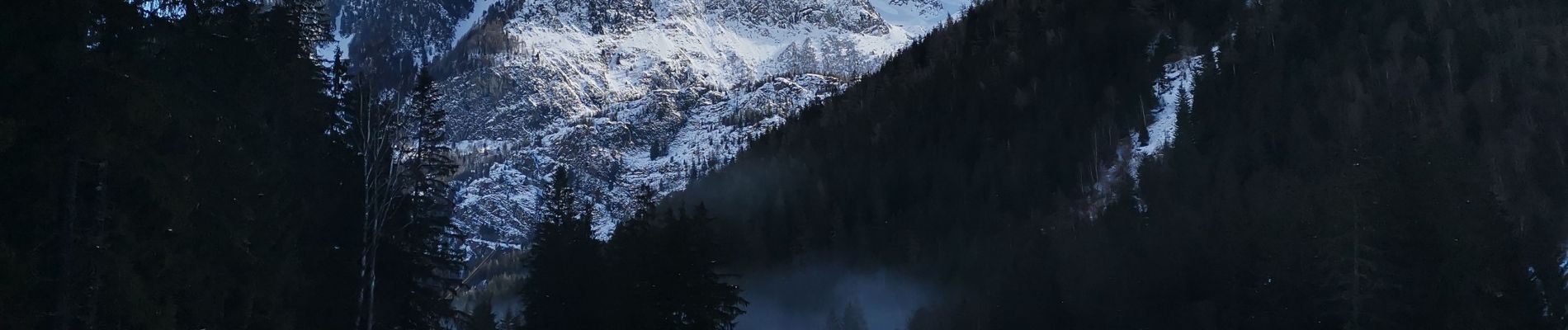 Percorso Marcia Chamonix-Mont-Blanc - CHAMONIX... depuis l' Arveyron jusqu'à la Floria.  - Photo