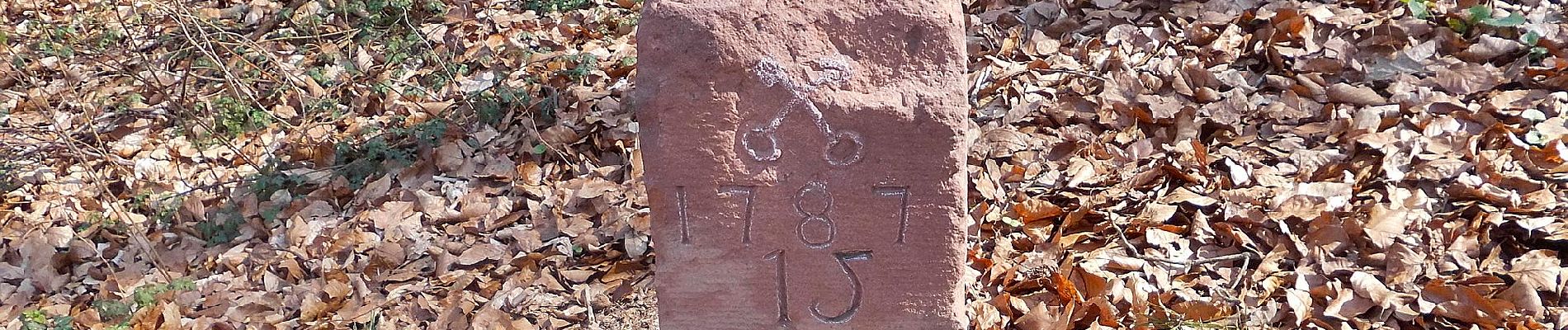 Randonnée A pied Rodenbach - Spessartspuren - Oberrodenbach – Dicke Tanne und Edelweißhütte - Photo