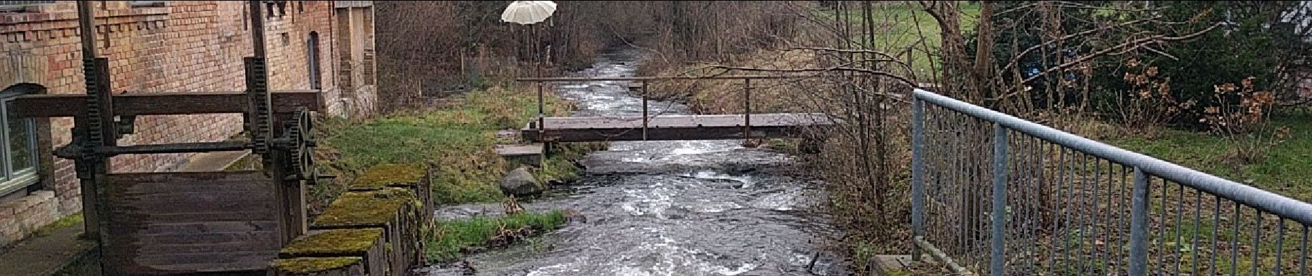 Tour Zu Fuß Unknown - Rundweg Biesenthal - Photo