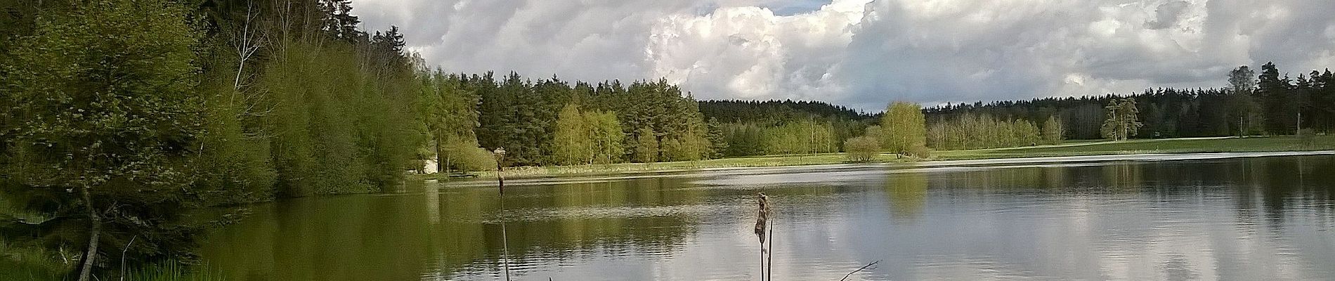 Tour Zu Fuß Neustadt an der Orla - Naturlehrpfad Dreba - Plothen - Photo