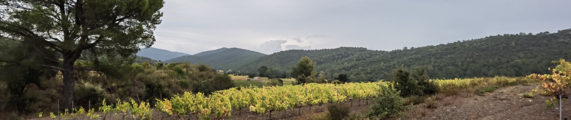 Tour Wandern Pierrefeu-du-Var - 2021-10-21 les hameaux de Pierrefeu - Photo