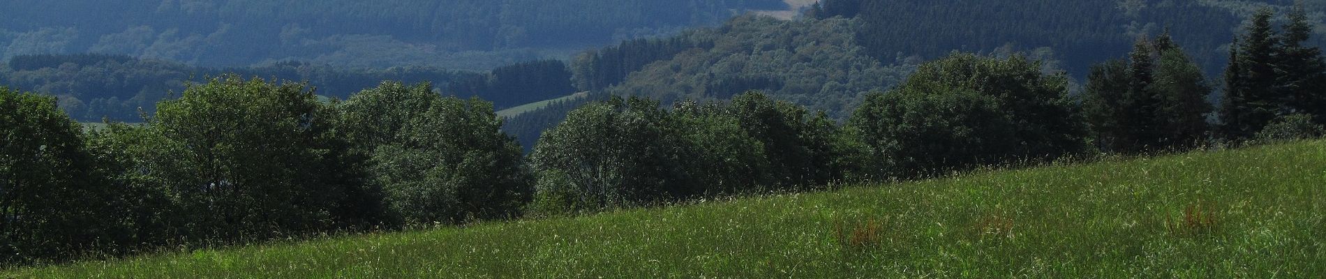 Trail On foot Herscheid - Linde Rundweg A4 - Photo