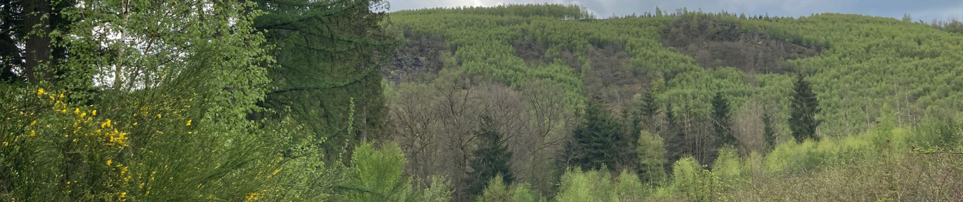 Randonnée Marche Lierneux - Odrimont-Vielsalm - Photo