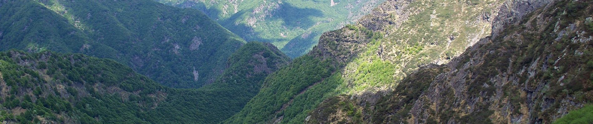 Tocht Te voet Premosello-Chiovenda - P22 - Ponte Val Gabbio - Bocchetta dell'Usciolo - Photo