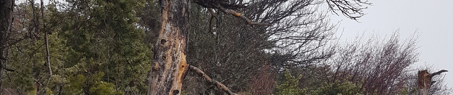 Randonnée Marche Rousset - La Viste  - Photo