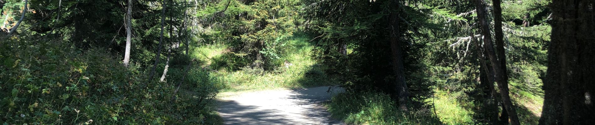 Trail Walking Morgex - Lac d’Arpy  - Photo