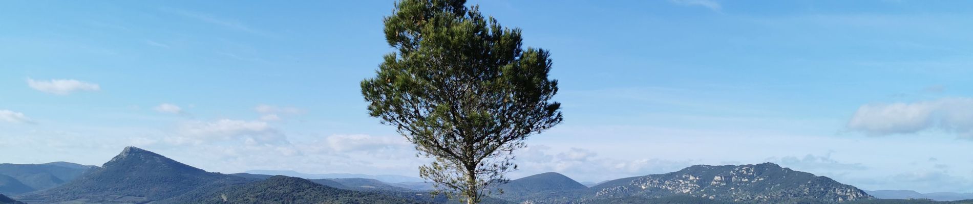 Tour Wandern Villeneuvette - villeneuvette  - Photo