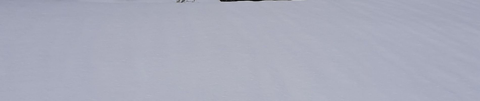 Randonnée Raquettes à neige Bonneval-sur-Arc - Le Duis par Ecot - Photo