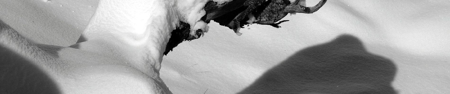 Tocht Te voet Valsavarenche - Alta Via n. 2 della Valle d'Aosta - Tappa 8 - Photo