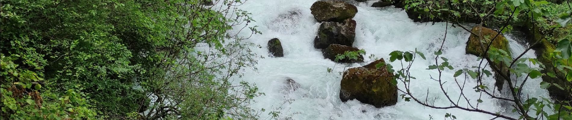 Tocht Stappen Fontaine-de-Vaucluse - la fontaine de Vaucluse - Photo