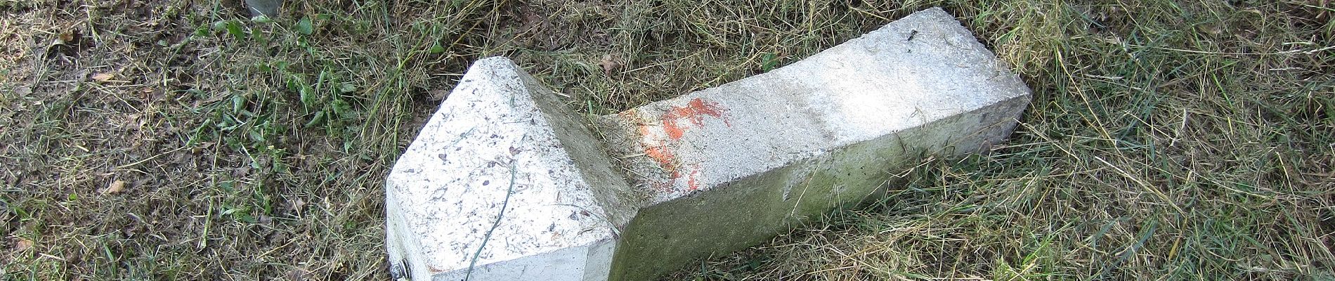 Tour Zu Fuß Berkelland - Needse Achterveld en 't Vleer - Photo