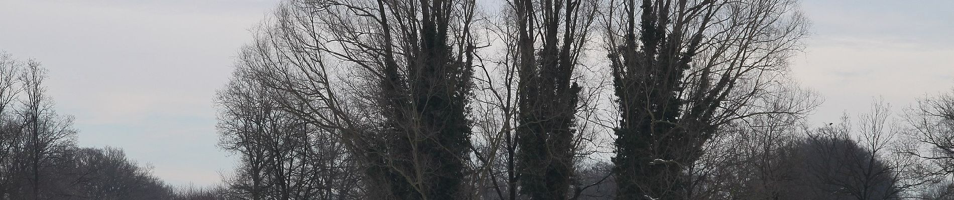 Tour Zu Fuß Hengelo - Wandelnetwerk Twente - gele route - Photo