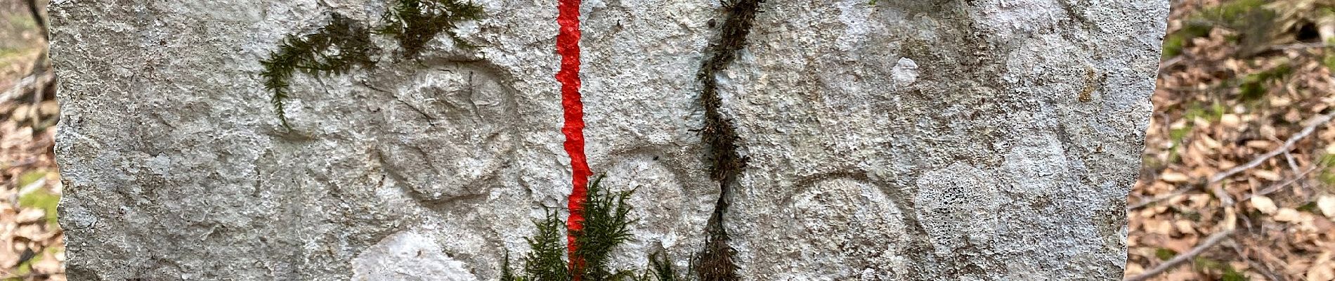 Tour Zu Fuß Val-de-Travers - Pouetta Raisse-Môtiers - Photo