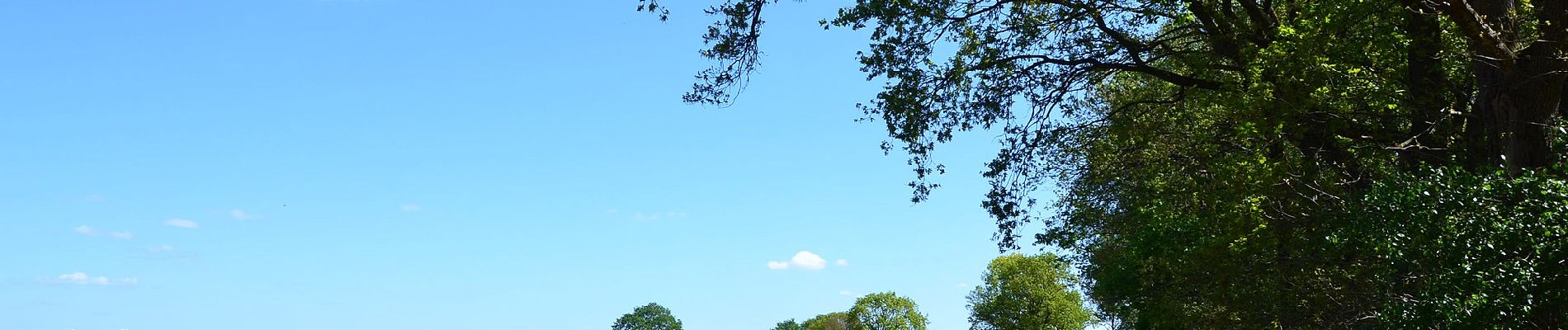 Tour Zu Fuß Haaksbergen - Wandelnetwerk Twente - groene route - Photo