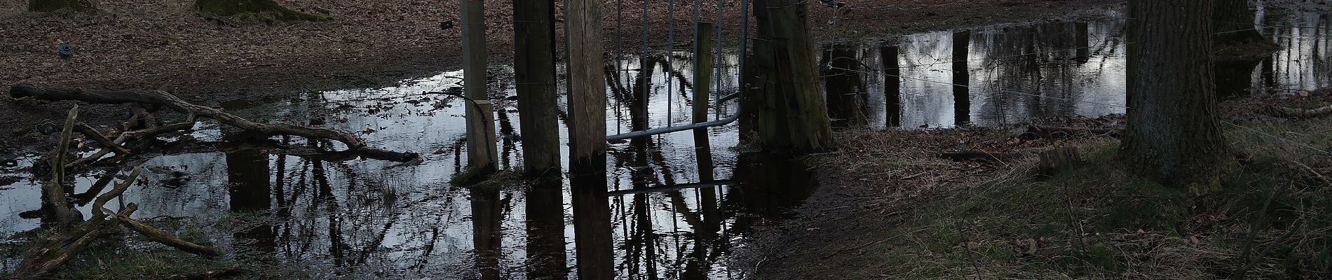 Trail On foot Boxtel - Blauw - Photo