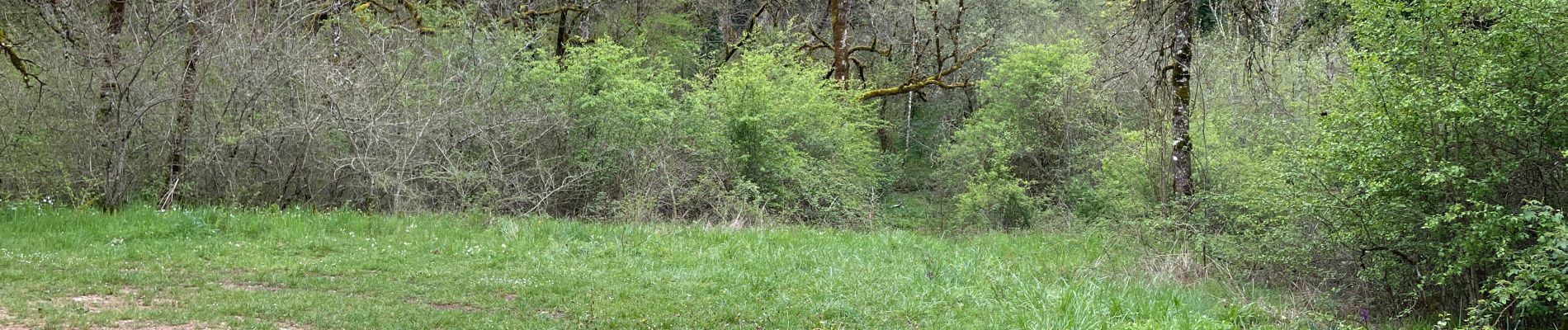 Randonnée Marche Le Vignon-en-Quercy - Muriel œil de la Doue - Photo