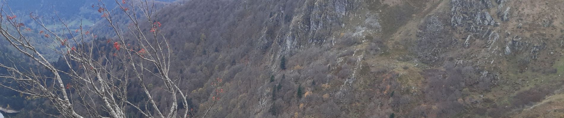 Tocht Stappen La Bresse - mon sentier des névés : hohneck . kastelbergwasen . firstmiss . breitsouze . Le hohneck  - Photo