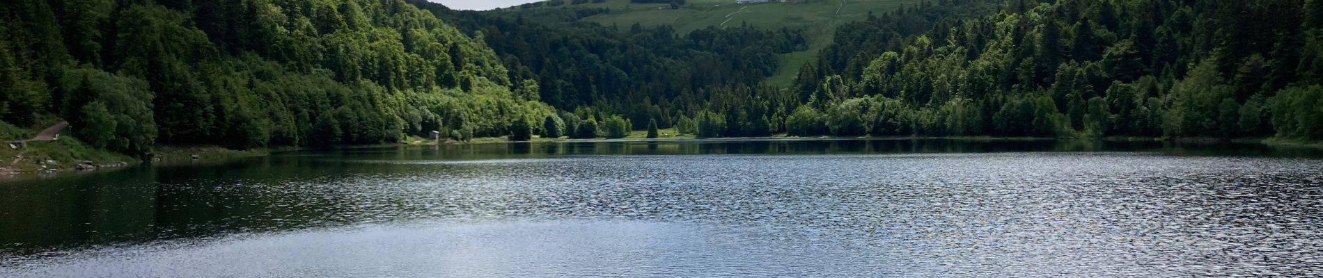 Percorso Marcia La Bresse - Feignes-sous-Vologne / Lac de la Lande / Lac de Blanchemer - Photo