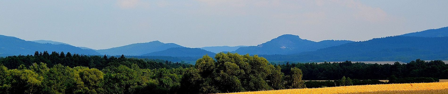 Tocht Te voet Płonina - (yellow) - Photo