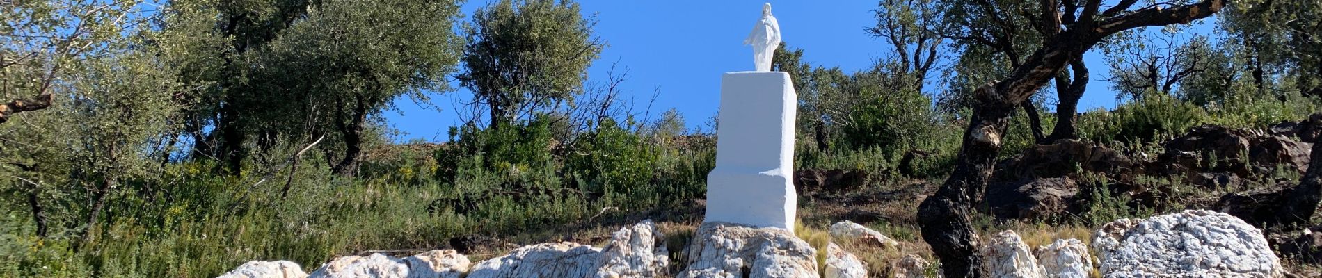 Excursión Senderismo Bormes-les-Mimosas - Bregancon via l’espagnol - Photo