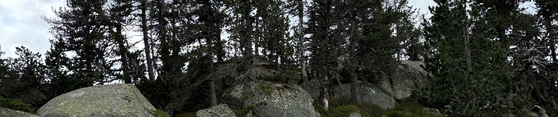 Tocht Stappen Angoustrine-Villeneuve-des-Escaldes - Le Bones Hores - Refuge de Camporels - Photo