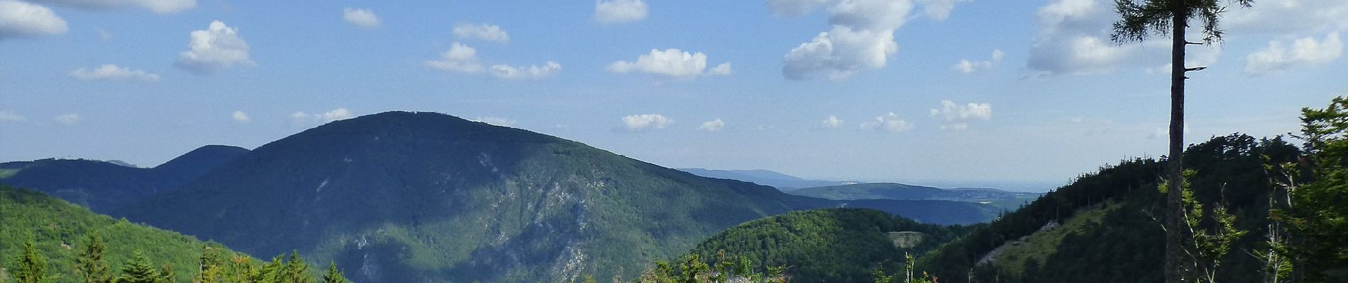 Tocht Te voet Gemeinde Waldegg - Dürnbacher Höhenweg - Photo