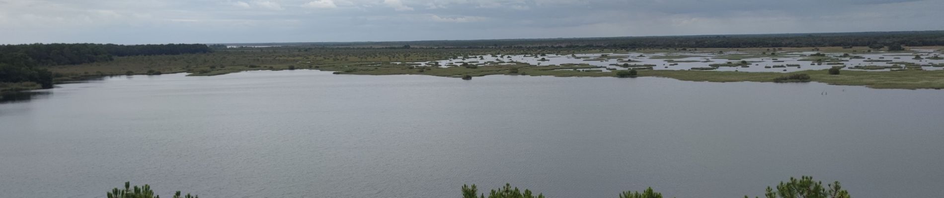 Excursión Senderismo Lacanau - Balade Réserve de l'étang de Cousseau - Photo