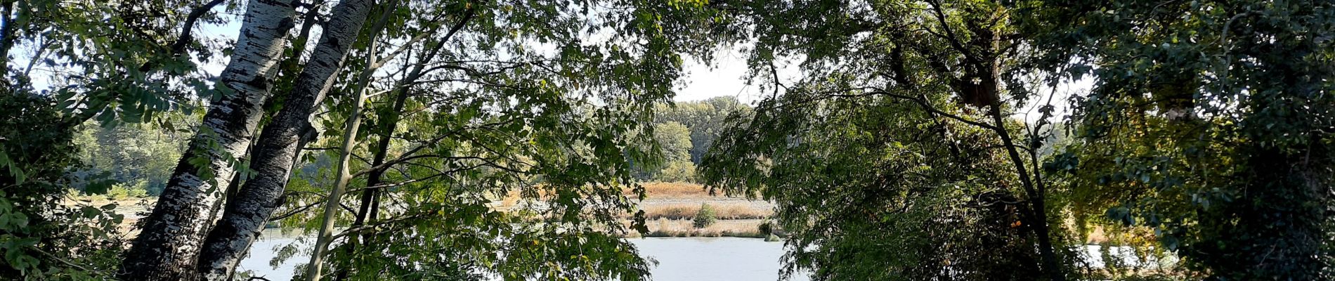 Tour Wandern Rochemaure - Rochemaure Le Barrage 7km - Photo