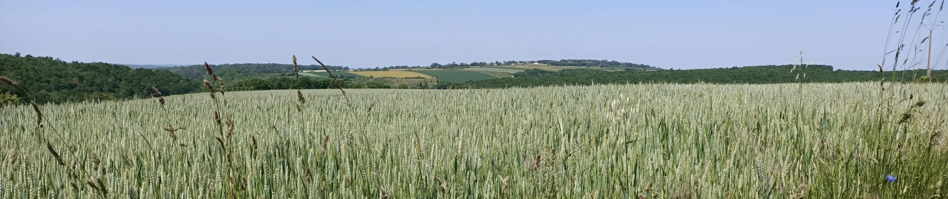 Randonnée Marche Escamps - Avigneau - Photo