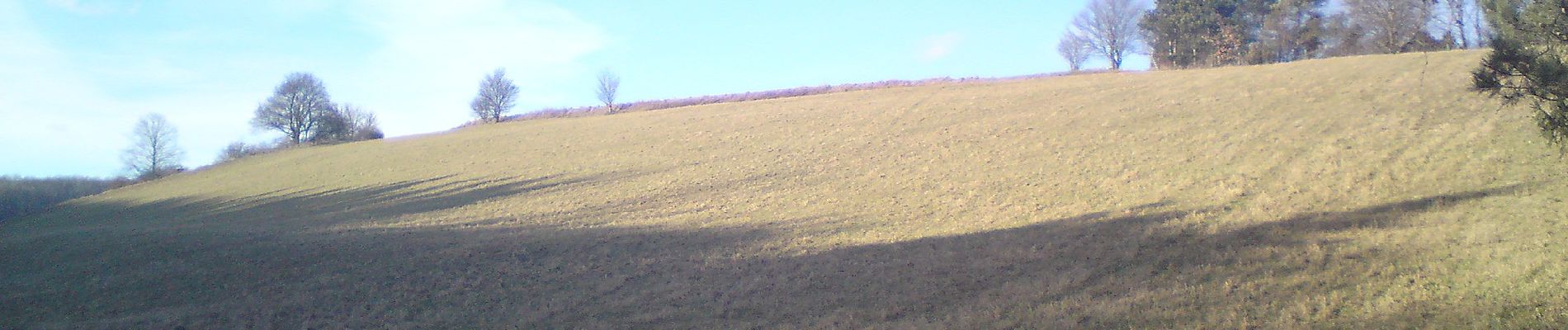 Tour Zu Fuß Gemeinde Wienerwald - Siegenfeld - Meierei Füllenberg - Photo