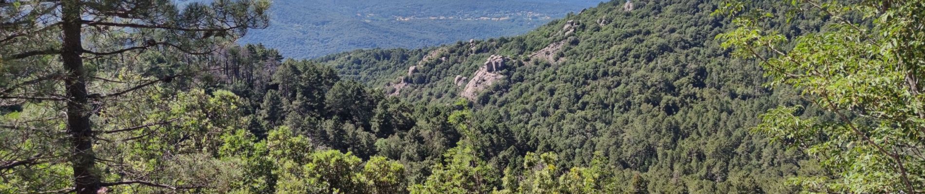 Excursión Bici de montaña Zonza - Zonza - Photo