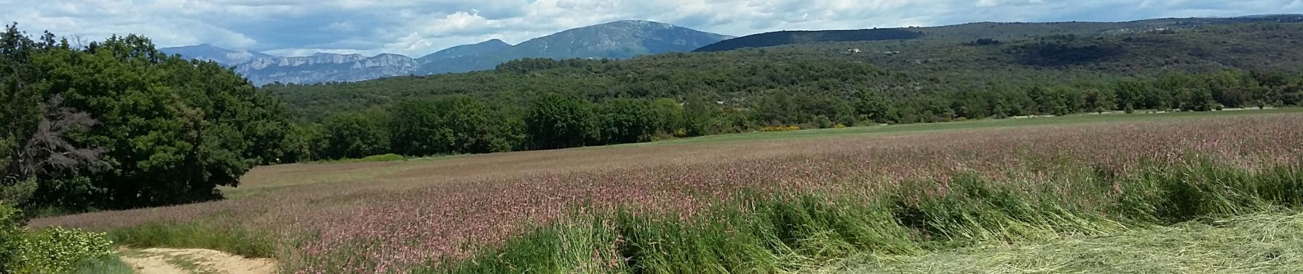 Tocht Stappen Artignosc-sur-Verdon - Artignosc Chemin de l eau  - Photo