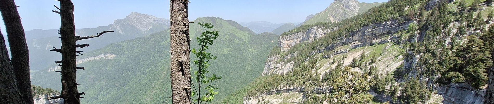 Tocht Stappen Plateau-des-Petites-Roches - Dent de Crolles  - Photo