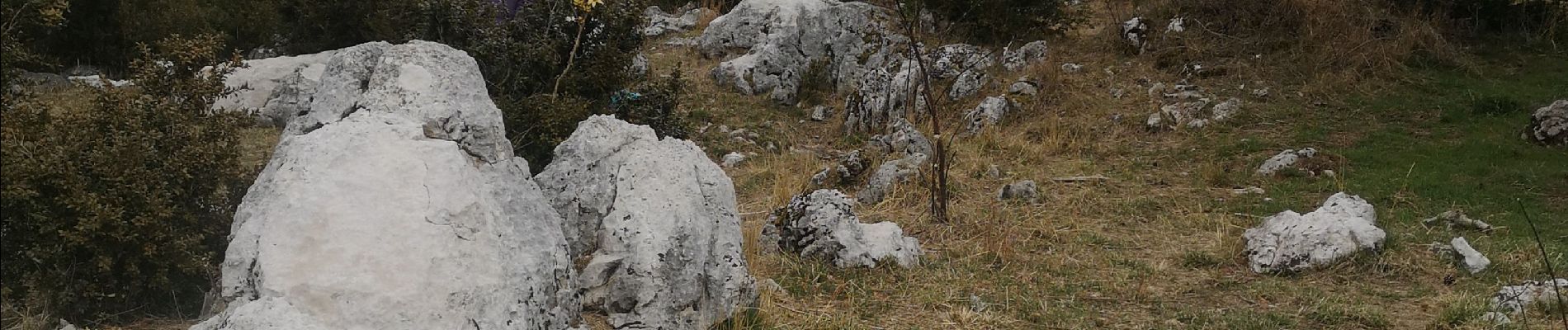 Randonnée Marche Escragnolles - hameau de Clars avec Toto - Photo