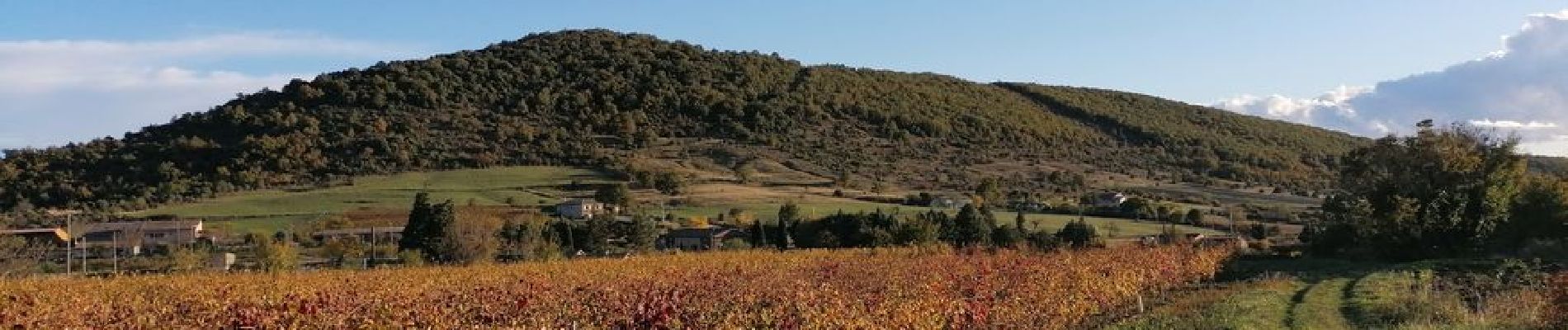 Tour Wandern Aubignas - Aubignas La Roche Noire 12km - Photo