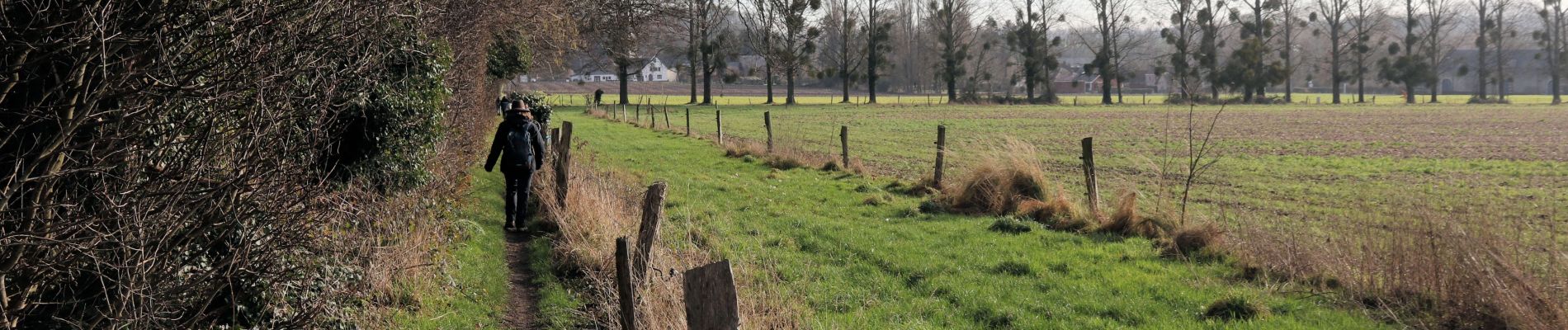 Tocht Stappen Seneffe - Feluy depuis Arquennes - Photo