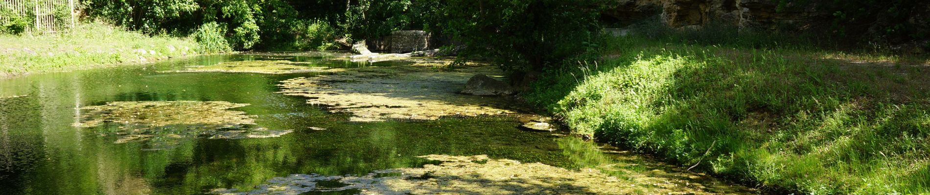 Tour Wandern Grans - Grans - Fontaine Mary Rose - Photo