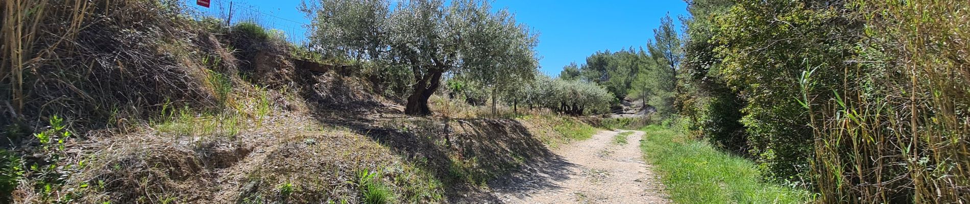 Tocht Stappen Clarensac - Clarensac - Photo