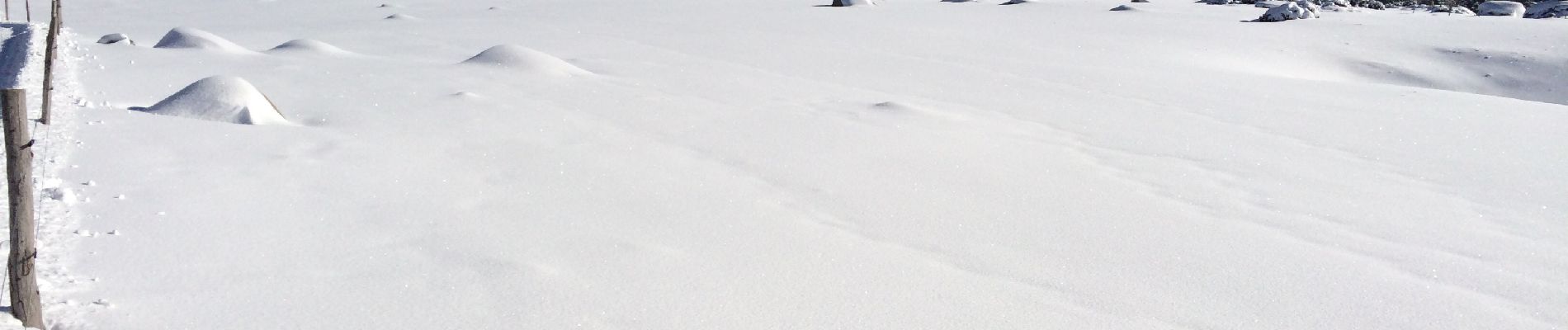 Tocht Sneeuwschoenen Les Angles - Pla del mir lac d’aude bis  - Photo