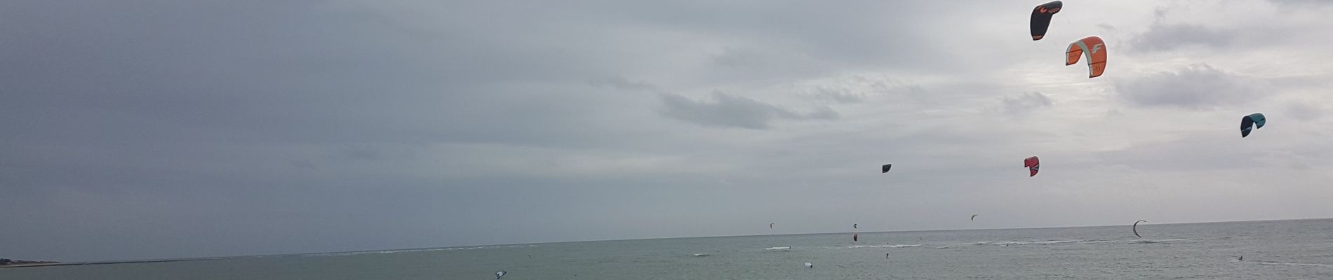 Tocht Stappen Saint-Denis-d'Oléron - Saint Denis d'Oléron  - Photo