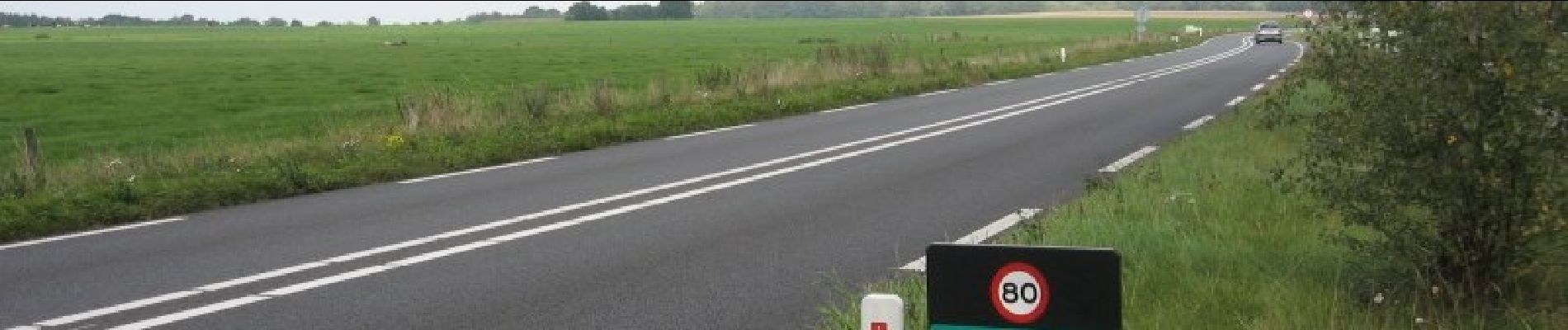 Tocht Te voet Hof van Twente - WNW Twente - Elsen -paarse route - Photo