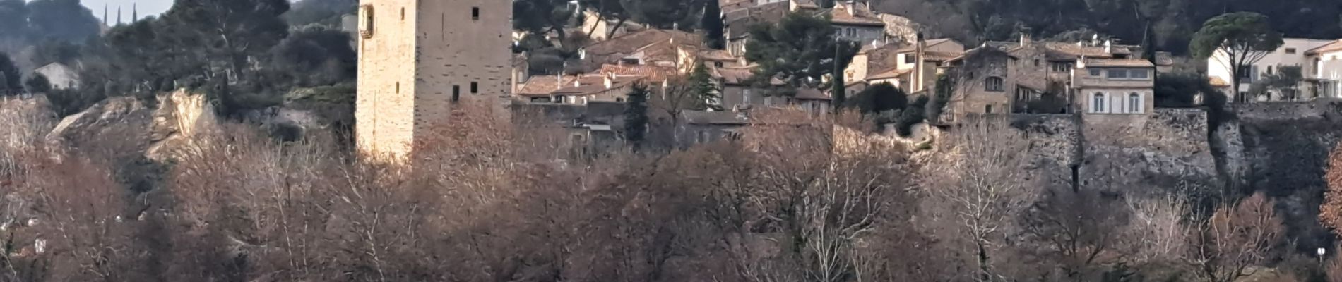 Tocht Stappen Avignon - ile de la Barthelasse - Photo