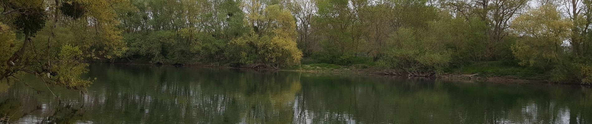 Tour Wandern Courlon-sur-Yonne - 01 mai 21 - Photo