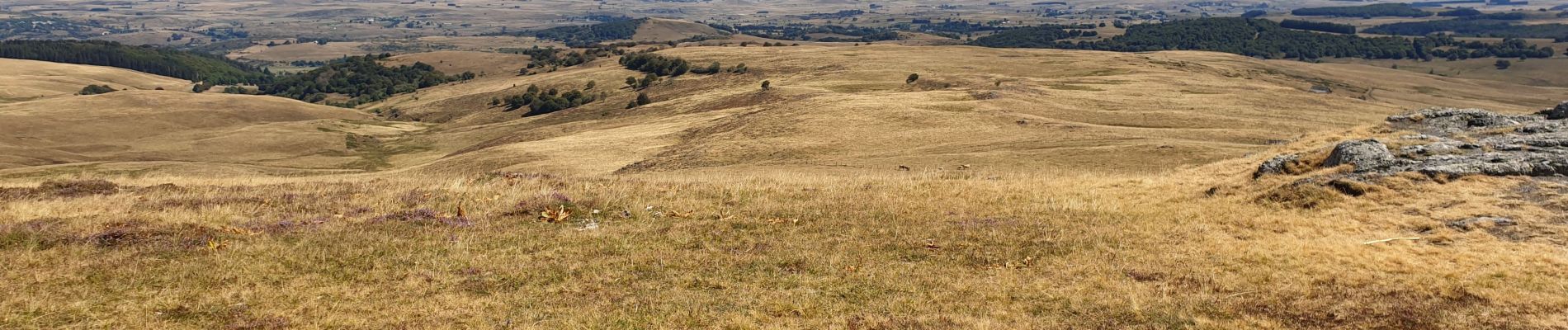 Tour Wandern Nasbinals - nasbinals 3 - Photo