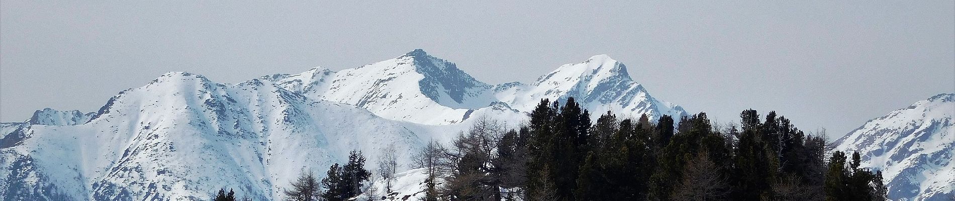 Tocht Te voet Pollone - Alta Via n. 1 della Valle d'Aosta - Tappa 3 - Photo