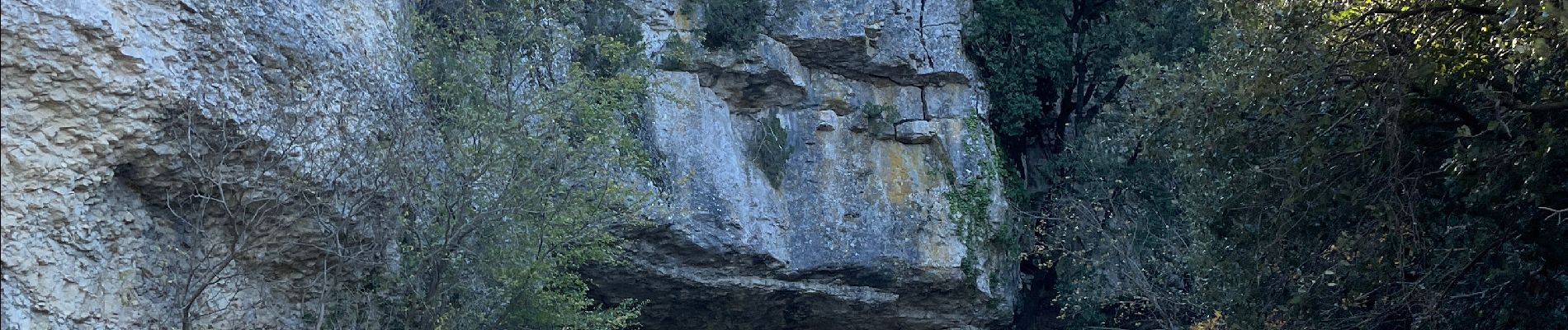 Randonnée  Cuges-les-Pins - OK CORAIL - Photo