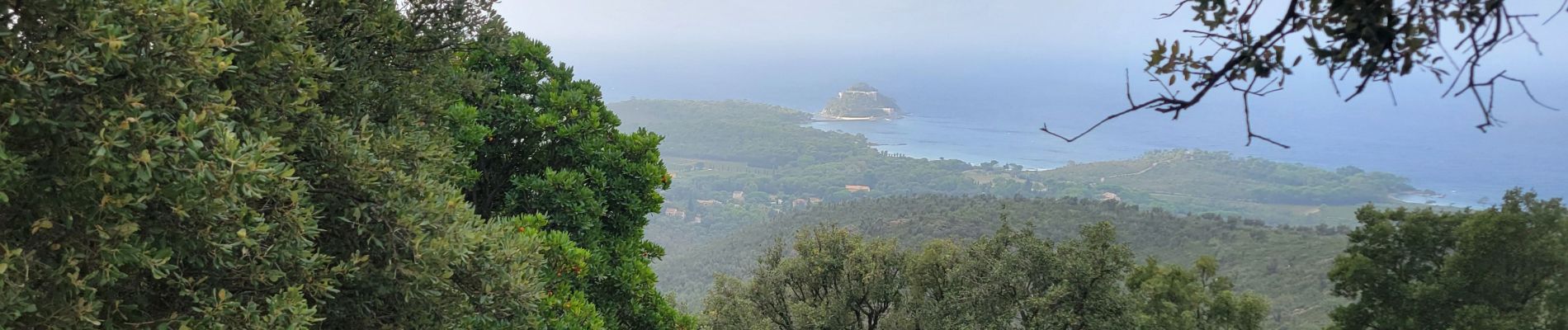 Randonnée Marche Bormes-les-Mimosas - Pas de la Grillote - Photo