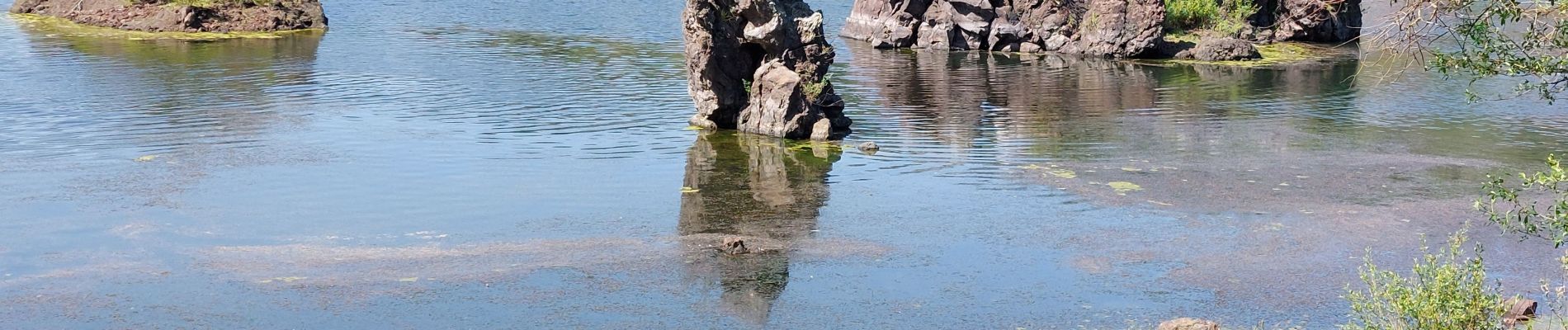 Percorso Marcia Aydat - LAC DE LA CASSIERE - Photo