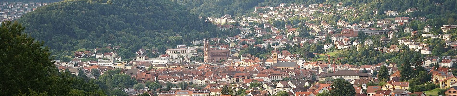 Tour Zu Fuß Eberbach - Rundwanderweg Wimmersbacher Steige 1: Bocksberg-Weg - Photo