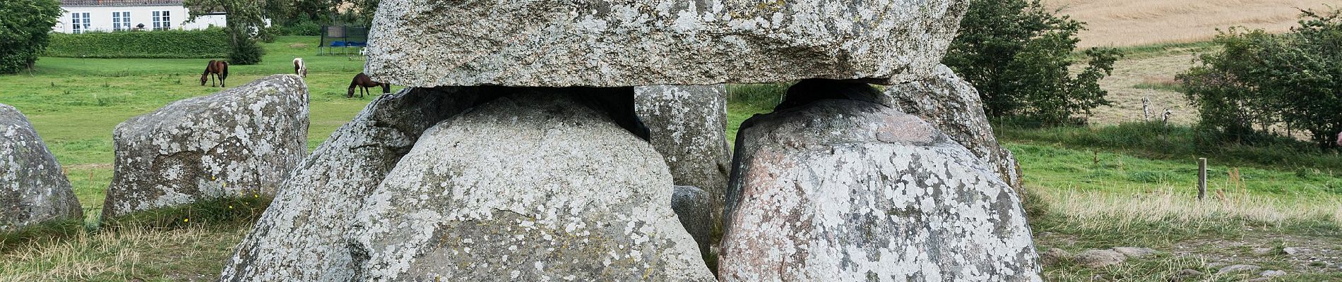 Tour Zu Fuß Unknown - Kløverstier-Naturruten - Photo